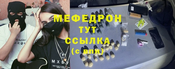 индика Верхний Тагил