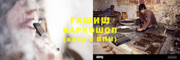 индика Верхний Тагил