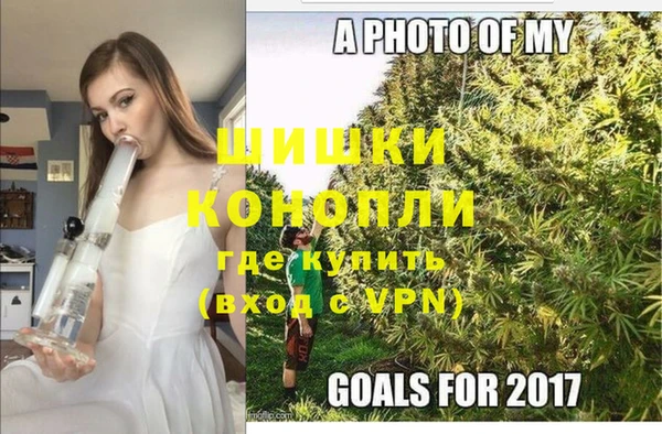 шишки Верхнеуральск