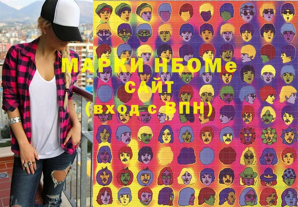 индика Верхний Тагил