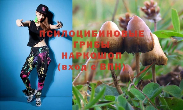 шишки Верхнеуральск