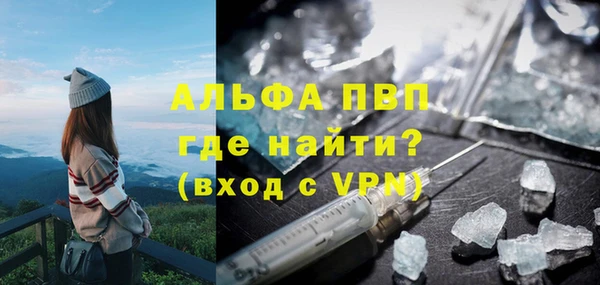 индика Верхний Тагил