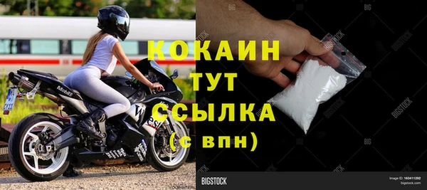 индика Верхний Тагил