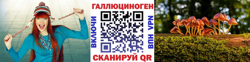 Купить закладки  Макарьев  Галлюциногенные грибы Cubensis 